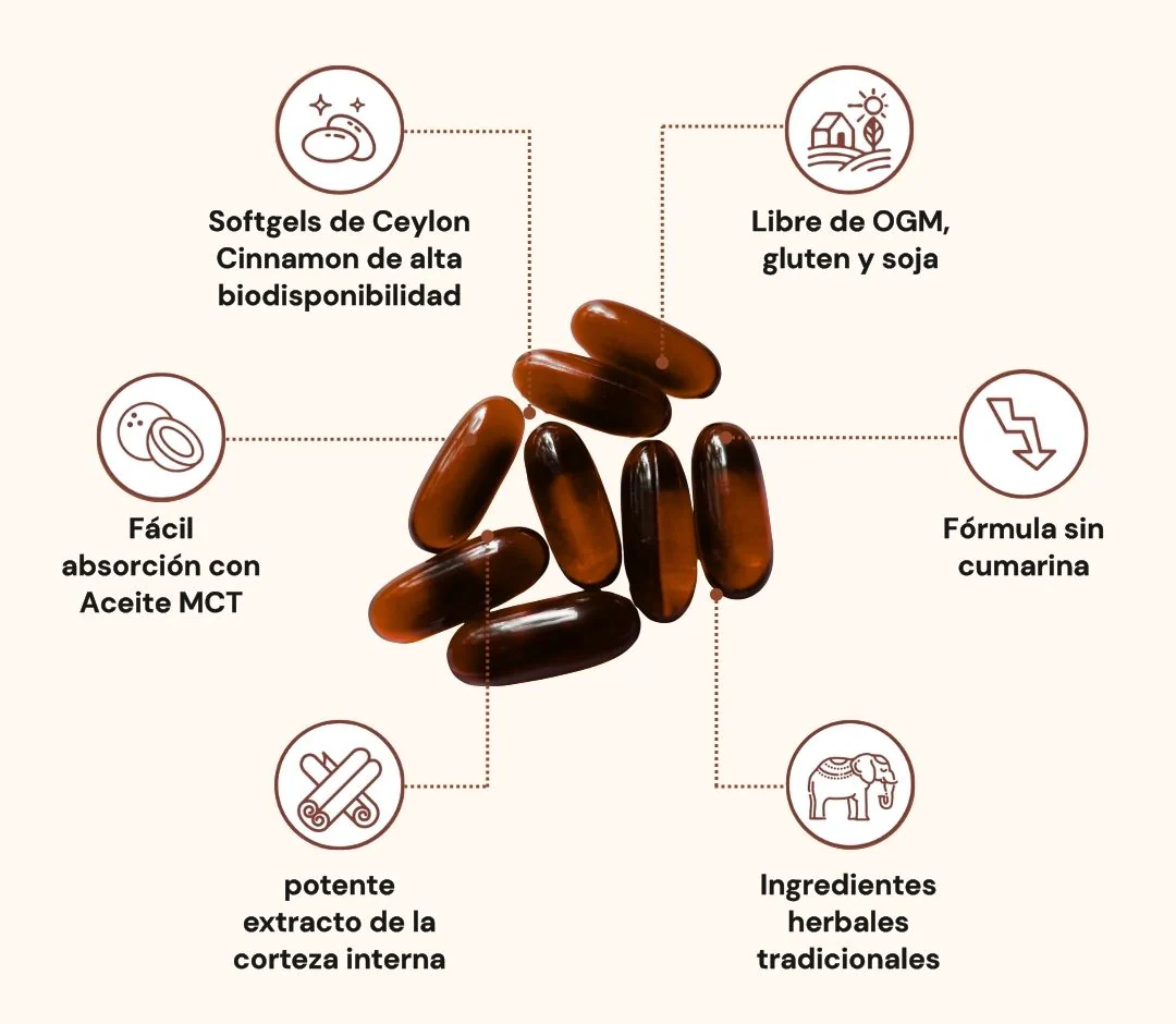 Canela de Ceilán equivalente a 7,200 mg con Aceite MCT