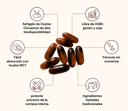 Canela de Ceilán equivalente a 7,200 mg con Aceite MCT