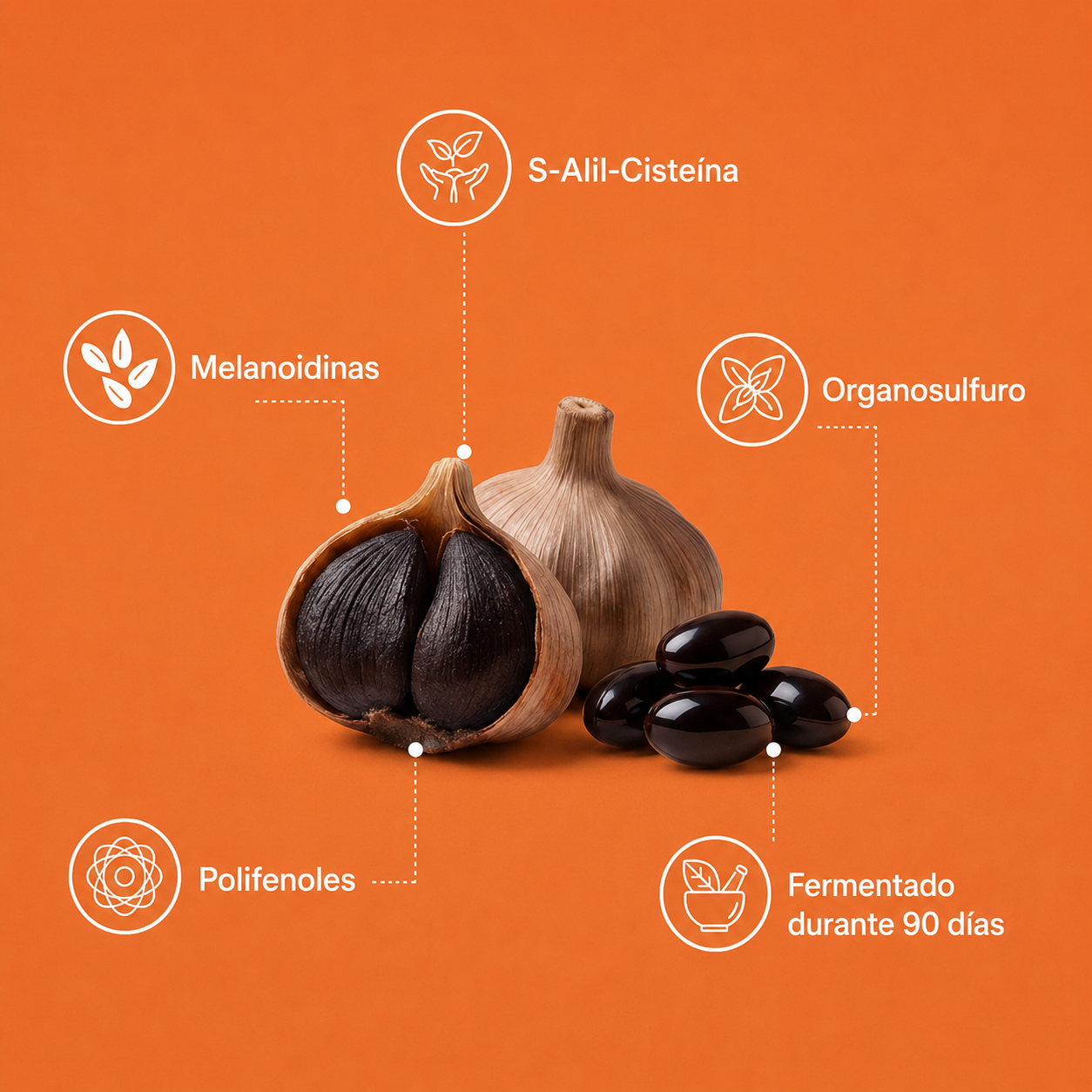 capsulas de ajo fermentado