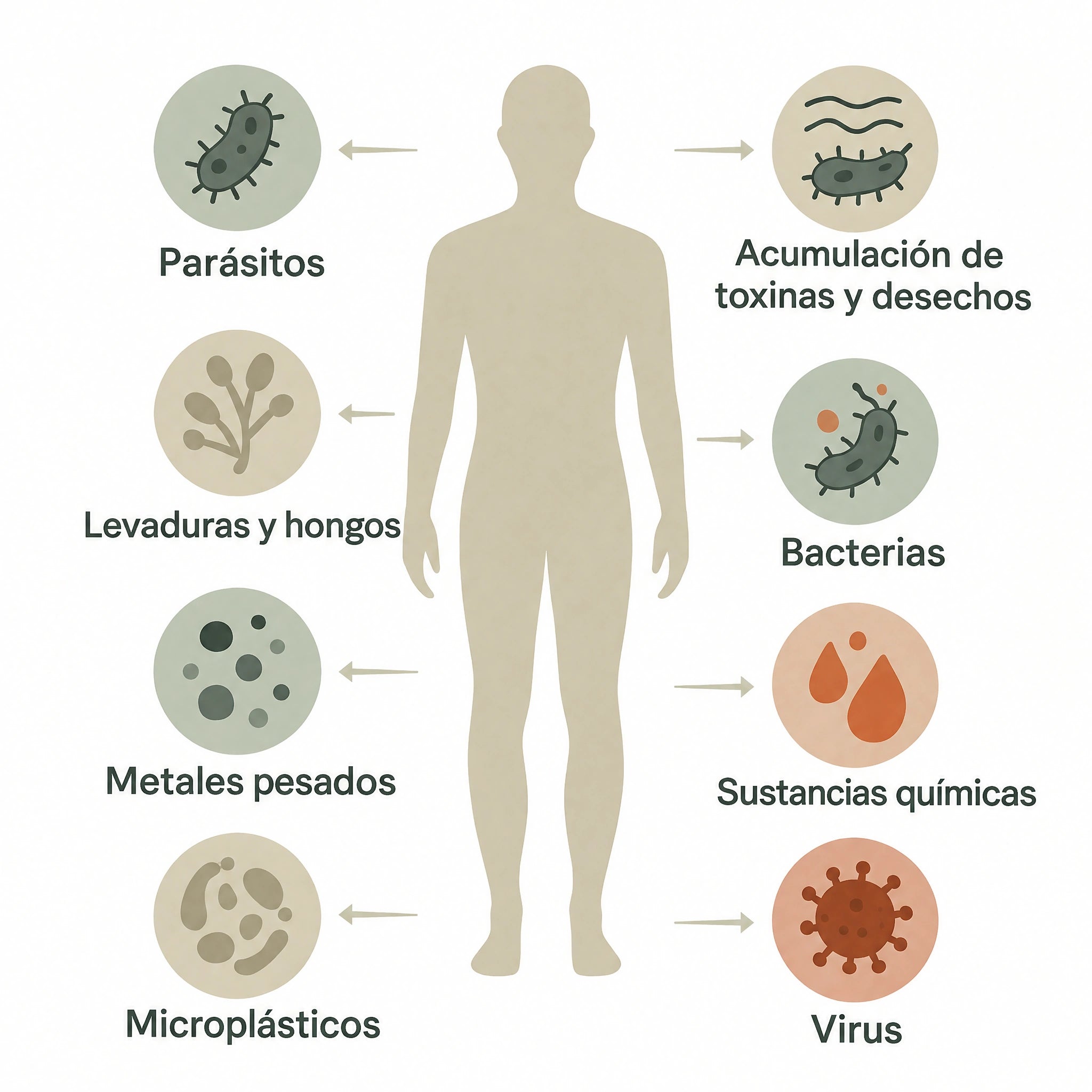 Ilustración de ocho amenazas descritas en el artículo